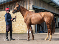 BP200326-61 - It's Hard To Know